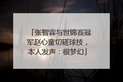 张智霖与世锦赛冠军赵心童切磋球技，本人发声：很梦幻