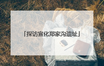 探访宣化郑家沟遗址