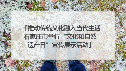 推动传统文化融入当代生活 石家庄市举行“文化和自然遗产日”宣传展示活动
