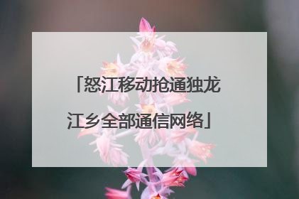 怒江移动抢通独龙江乡全部通信网络