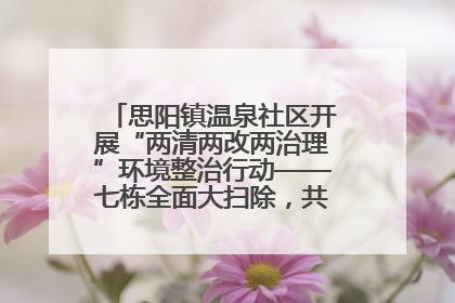 思阳镇温泉社区开展“两清两改两治理”环境整治行动——七栋全面大扫除，共建洁净家园