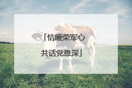 情暖荣军心 共话党恩深