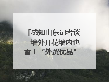 感知山东记者谈｜墙外开花墙内也香！“外贸优品”打通国内国际市场“旋转门”