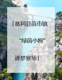 慈利县苗市镇：“绿茵小将”逐梦赛场