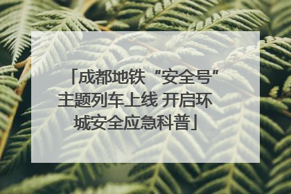成都地铁“安全号”主题列车上线 开启环城安全应急科普