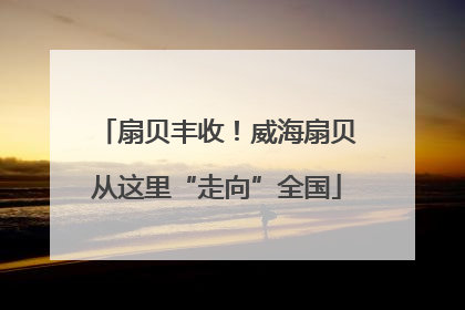 扇贝丰收！威海扇贝从这里“走向”全国