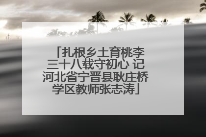 扎根乡土育桃李 三十八载守初心 记河北省宁晋县耿庄桥学区教师张志涛