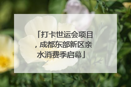 打卡世运会项目，成都东部新区亲水消费季启幕