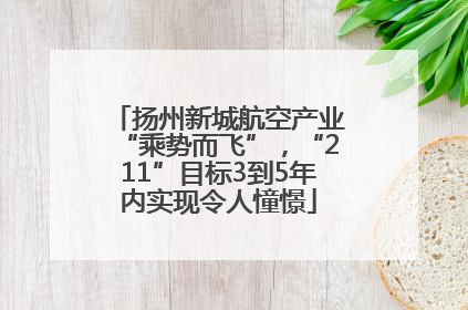 扬州新城航空产业“乘势而飞”，“211”目标3到5年内实现令人憧憬