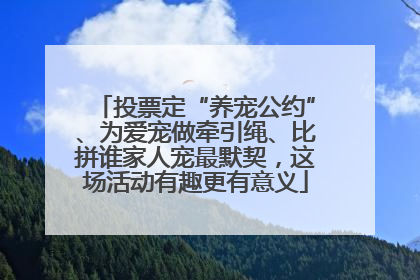 投票定“养宠公约”、为爱宠做牵引绳、比拼谁家人宠最默契，这场活动有趣更有意义