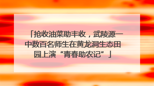 抢收油菜助丰收，武陵源一中数百名师生在黄龙洞生态田园上演“青春助农记”