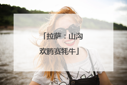 拉萨：山沟欢腾赛牦牛