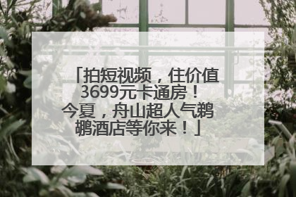 拍短视频，住价值3699元卡通房！今夏，舟山超人气鹈鹕酒店等你来！
