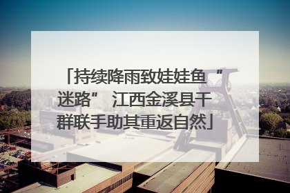 持续降雨致娃娃鱼“迷路” 江西金溪县干群联手助其重返自然