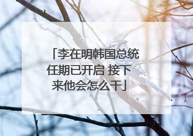李在明韩国总统任期已开启 接下来他会怎么干