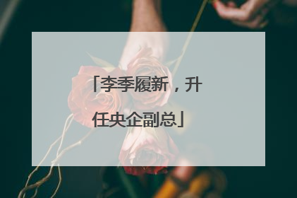 李季履新，升任央企副总