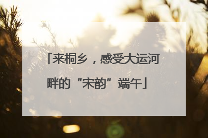 来桐乡，感受大运河畔的“宋韵”端午