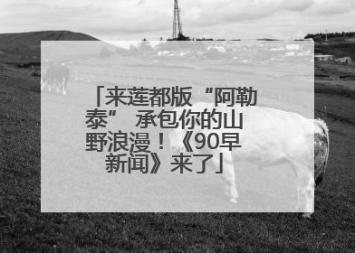 来莲都版“阿勒泰” 承包你的山野浪漫！《90早新闻》来了