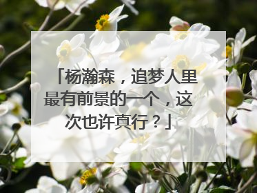 杨瀚森，追梦人里最有前景的一个，这次也许真行？