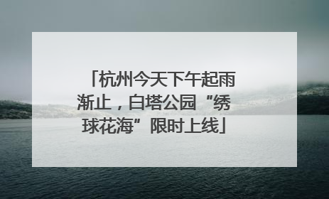 杭州今天下午起雨渐止，白塔公园“绣球花海”限时上线