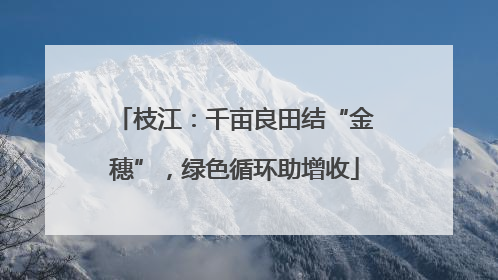枝江：千亩良田结“金穗”，绿色循环助增收