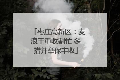枣庄高新区：麦浪千重收割忙 多措并举保丰收
