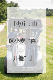 枣庄：山区小麦“喜开镰”