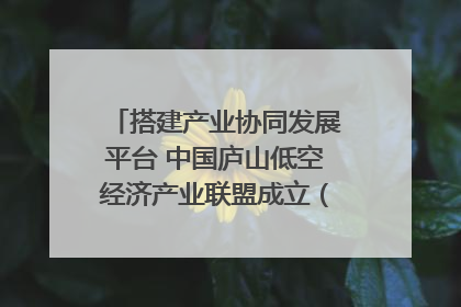 搭建产业协同发展平台 中国庐山低空经济产业联盟成立（组图｜视频）