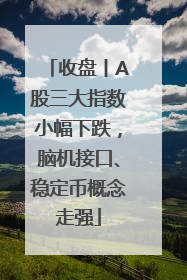 收盘丨A股三大指数小幅下跌，脑机接口、稳定币概念走强