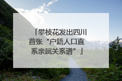 攀枝花发出四川首张“户籍人口直系亲属关系谱”