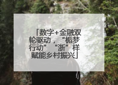 数字+金融双轮驱动，“栀梦行动”“浙”样赋能乡村振兴