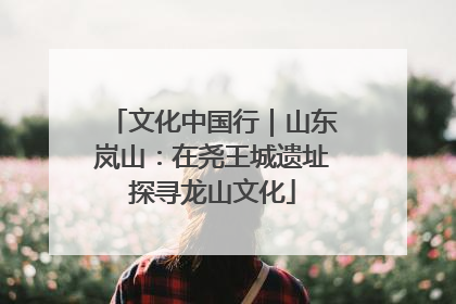 文化中国行｜山东岚山：在尧王城遗址探寻龙山文化