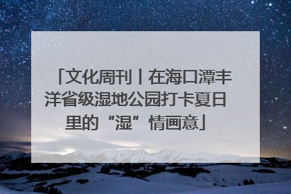 文化周刊丨在海口潭丰洋省级湿地公园打卡夏日里的“湿”情画意