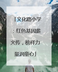 文化路小学：红色基因薪火传，榜样力量润童心