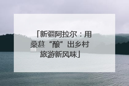 新疆阿拉尔：用桑葚“酿”出乡村旅游新风味