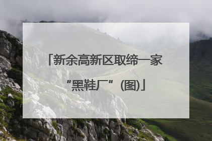 新余高新区取缔一家“黑鞋厂”(图)