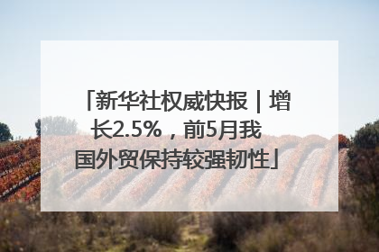 新华社权威快报｜增长2.5%，前5月我国外贸保持较强韧性
