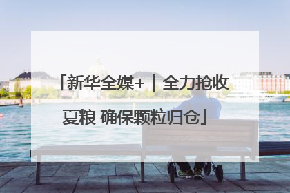 新华全媒+｜全力抢收夏粮 确保颗粒归仓