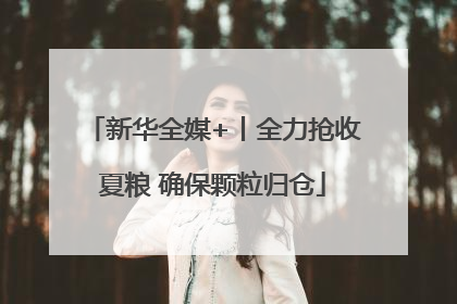 新华全媒+丨全力抢收夏粮 确保颗粒归仓