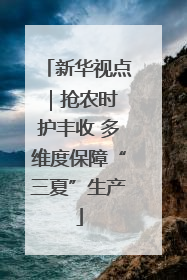 新华视点｜抢农时 护丰收 多维度保障“三夏”生产