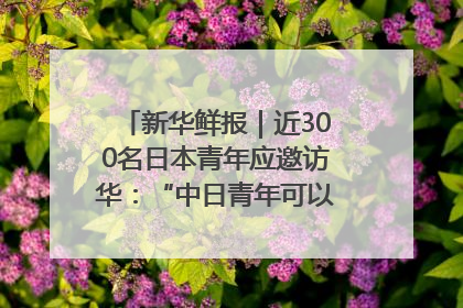 新华鲜报｜近300名日本青年应邀访华：“中日青年可以创造更好的未来”