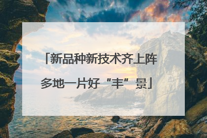 新品种新技术齐上阵 多地一片好“丰”景