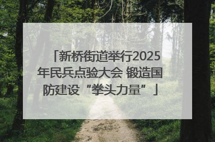 新桥街道举行2025年民兵点验大会 锻造国防建设“拳头力量”