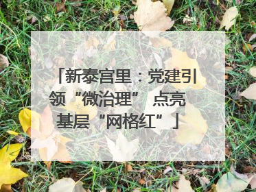 新泰宫里：党建引领“微治理” 点亮基层“网格红”