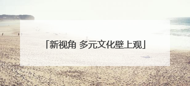 新视角 多元文化壁上观