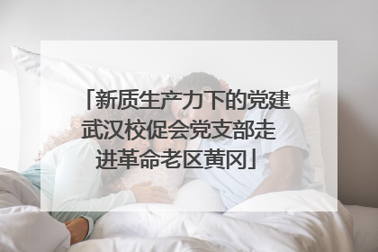 新质生产力下的党建 武汉校促会党支部走进革命老区黄冈