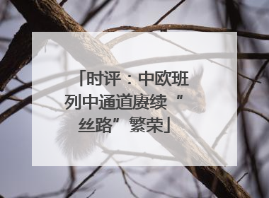 时评：中欧班列中通道赓续“丝路”繁荣