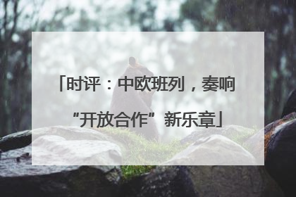 时评：中欧班列，奏响“开放合作”新乐章