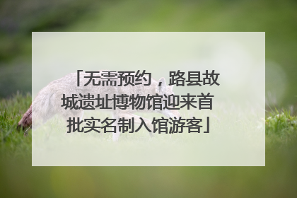 无需预约，路县故城遗址博物馆迎来首批实名制入馆游客