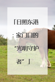 日照东港：家门口的“光明守护者”